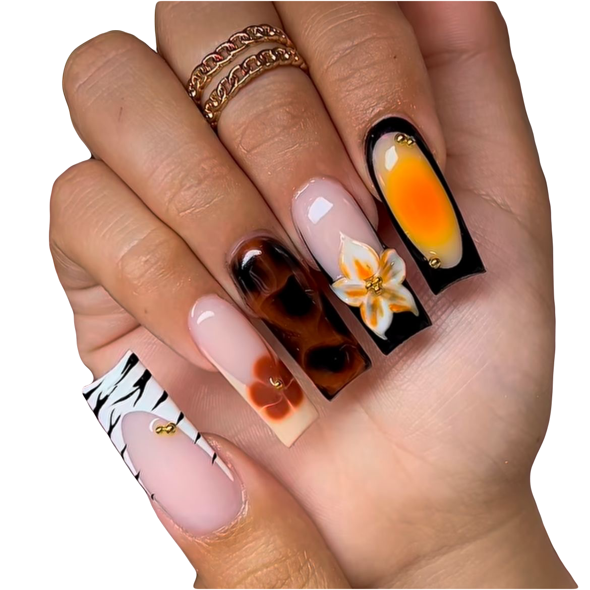 Midnight Jungle Press on nails
